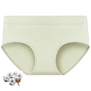 Women's Cotton Brief Underwear 2 pack Mid Waist Invisible Fit Breathable Solid Panties for Daily Wear