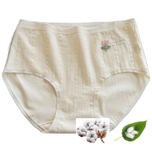 Women's 10A Cotton Brief Underwear, Mid Waist Stretch Fit with Mulberry Silk Gusset, Light Everyday Summer Wear